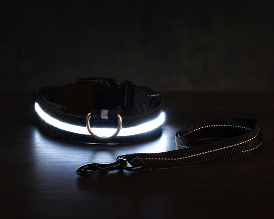 Nova Glow™ - LED Dog Collar
